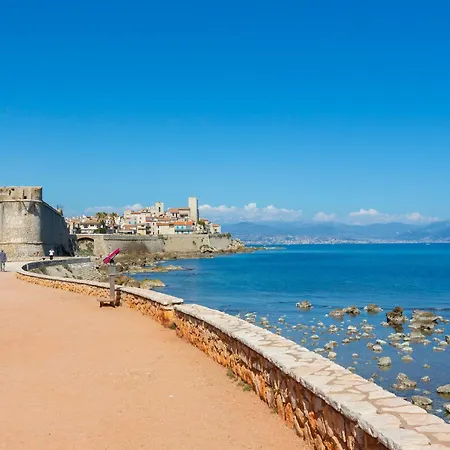 Les Oliviers - Happy